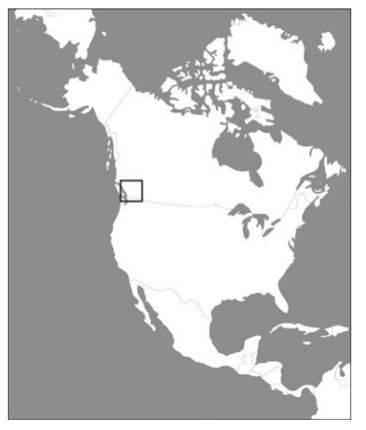 What major Canadian city can be found in the black square? A Edmonton B Toronto C-example-1