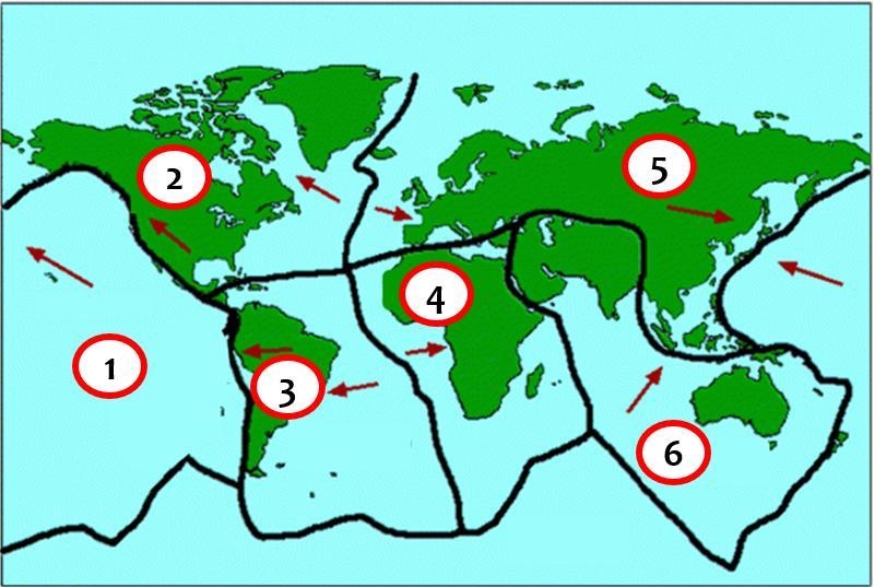 Match each number shown in the picture to the correct plate name. South American Plate-example-1