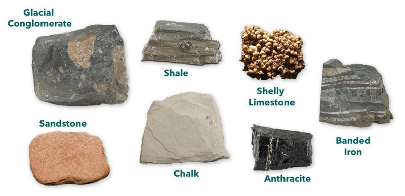 Illustrate the geological process involved in the formation of three groups of rocks-example-3