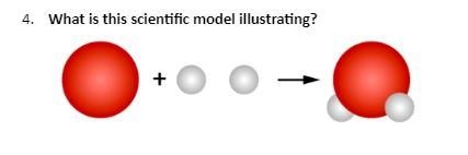 30 points! What is this scientific model illustrating?-example-1