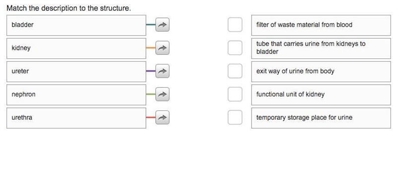 Macth the description structure-example-1