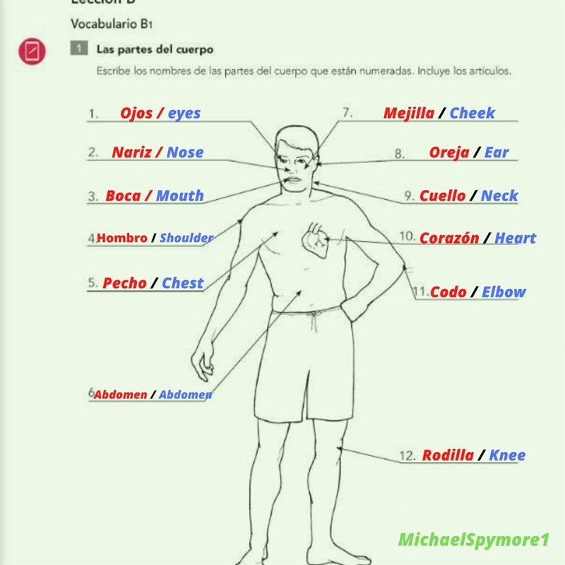 Escribe los nombres de las partes del cuerpo que están numeradas. Incluye los art-example-1