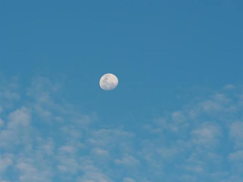 Why does the moon appear in daytime? . ¿Por qué aparece la luna durante el día?-example-1